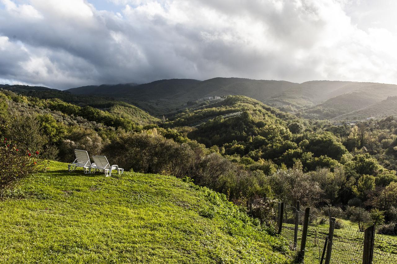 Tenuta San Felice Giano dell'Umbria Exterior photo